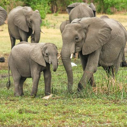 南非10日9晚拼小团 南非10日9晚拼小团