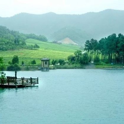 宜兴竹海+龙背山森林公园+善卷洞+富陶温泉3日2晚私家团 宜兴竹海+龙背山森林公园+善卷洞+富陶温泉3日2晚私家团