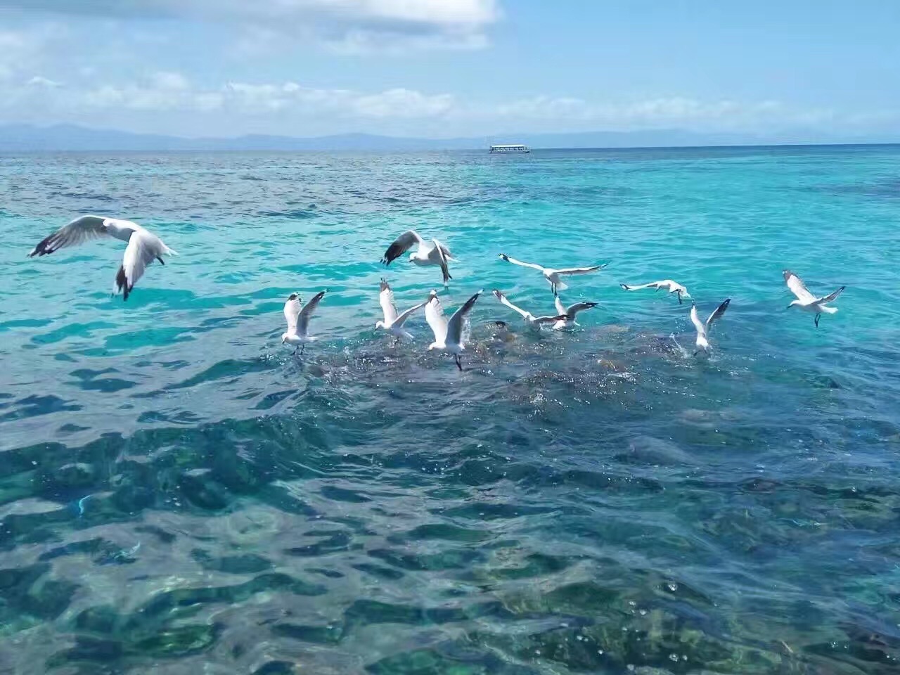 亚墨尔本+悉尼+黄金海岸+布里斯班+堪培拉+蓝