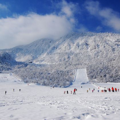 成都+西岭雪山+花水湾5日自由行