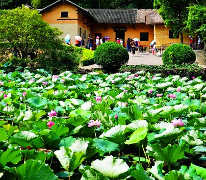 长沙+韶山+张家界+天门山+凤凰古城7日6晚跟团游 长沙+韶山+张家界+天门山+凤凰古城7日6晚跟团游