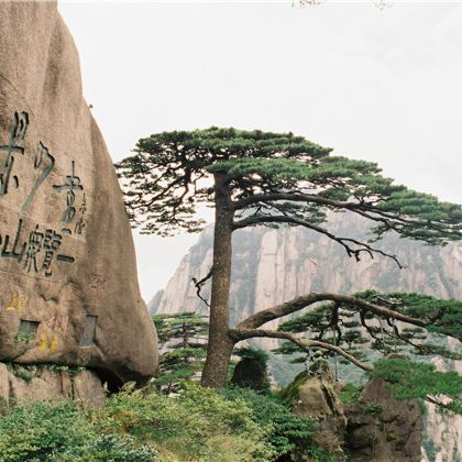 安徽黄山风景区+千岛湖+婺源5日4晚跟团游