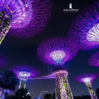新加坡6日5晚跟团游 新加坡6日5晚跟团游