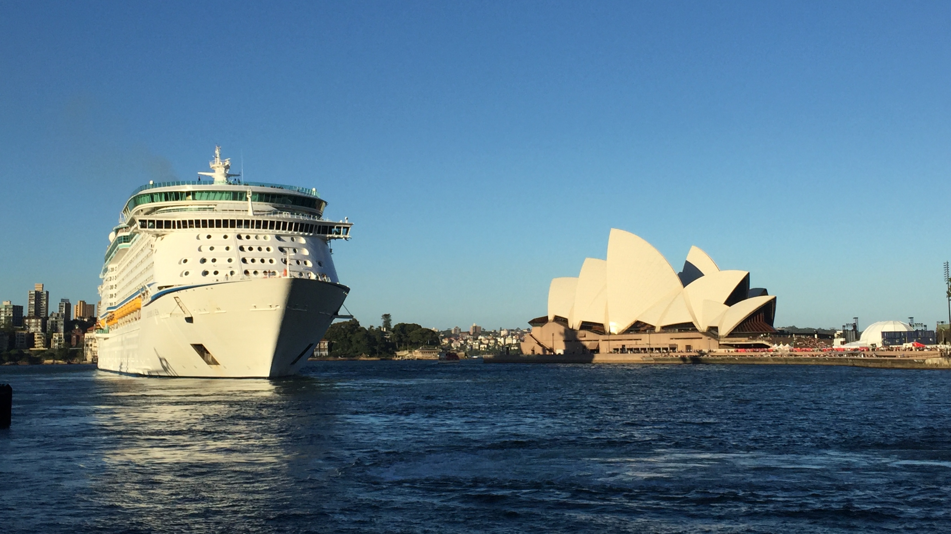 国际志愿者 到澳大利亚与考拉和袋鼠做室友吧