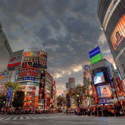 日本东京+伊豆7日6晚私家团 日本东京+伊豆7日6晚私家团