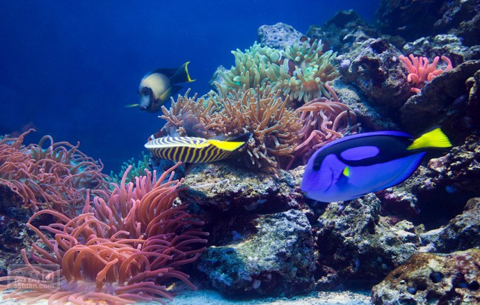 天津2日1晚半自助游·天津意大利风情区+静园