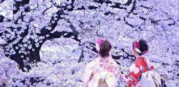 日本北海道6日5晚跟团游(4钻)·【限时优惠:3