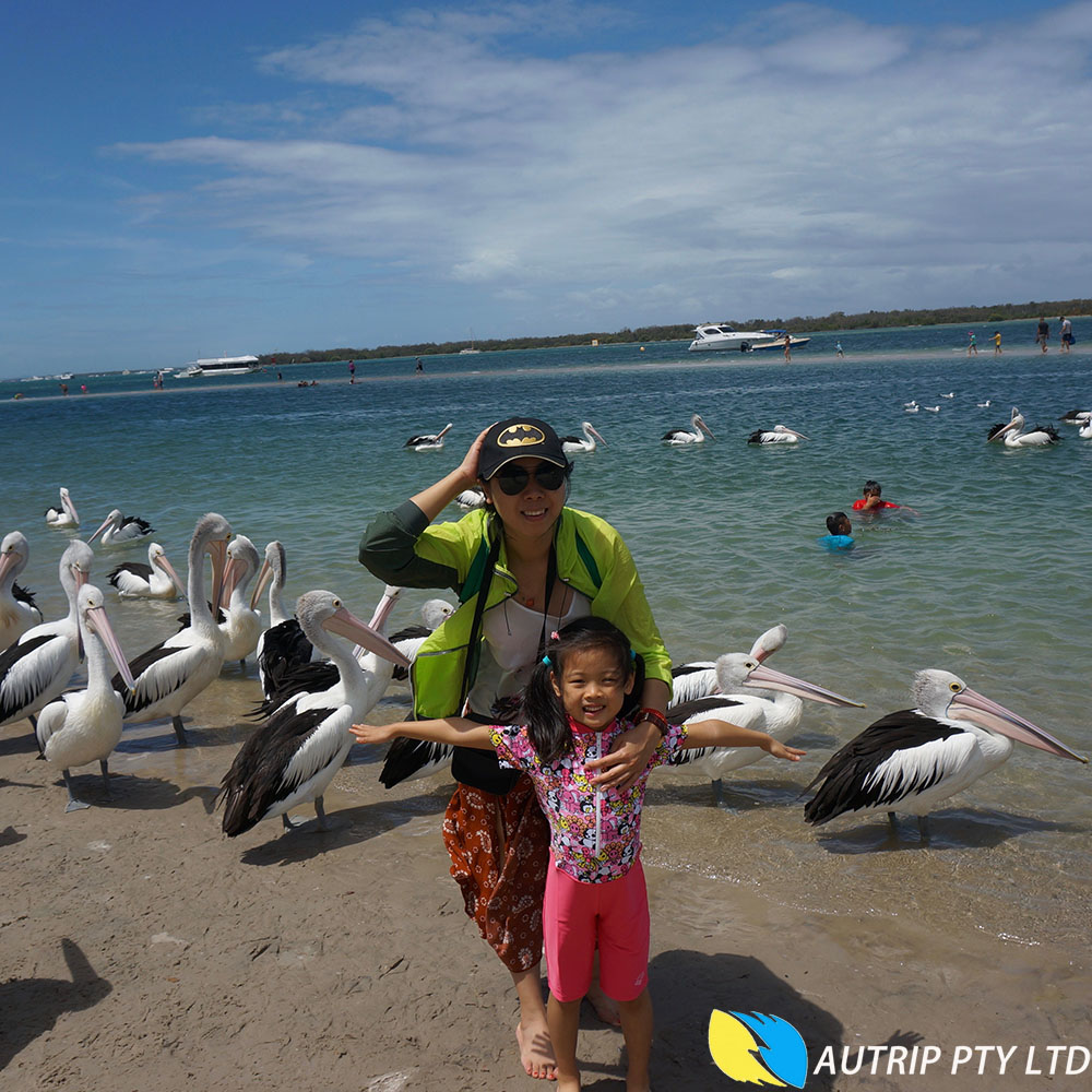 澳大利亚贵族学校全真课堂+黄金海岸+布里斯