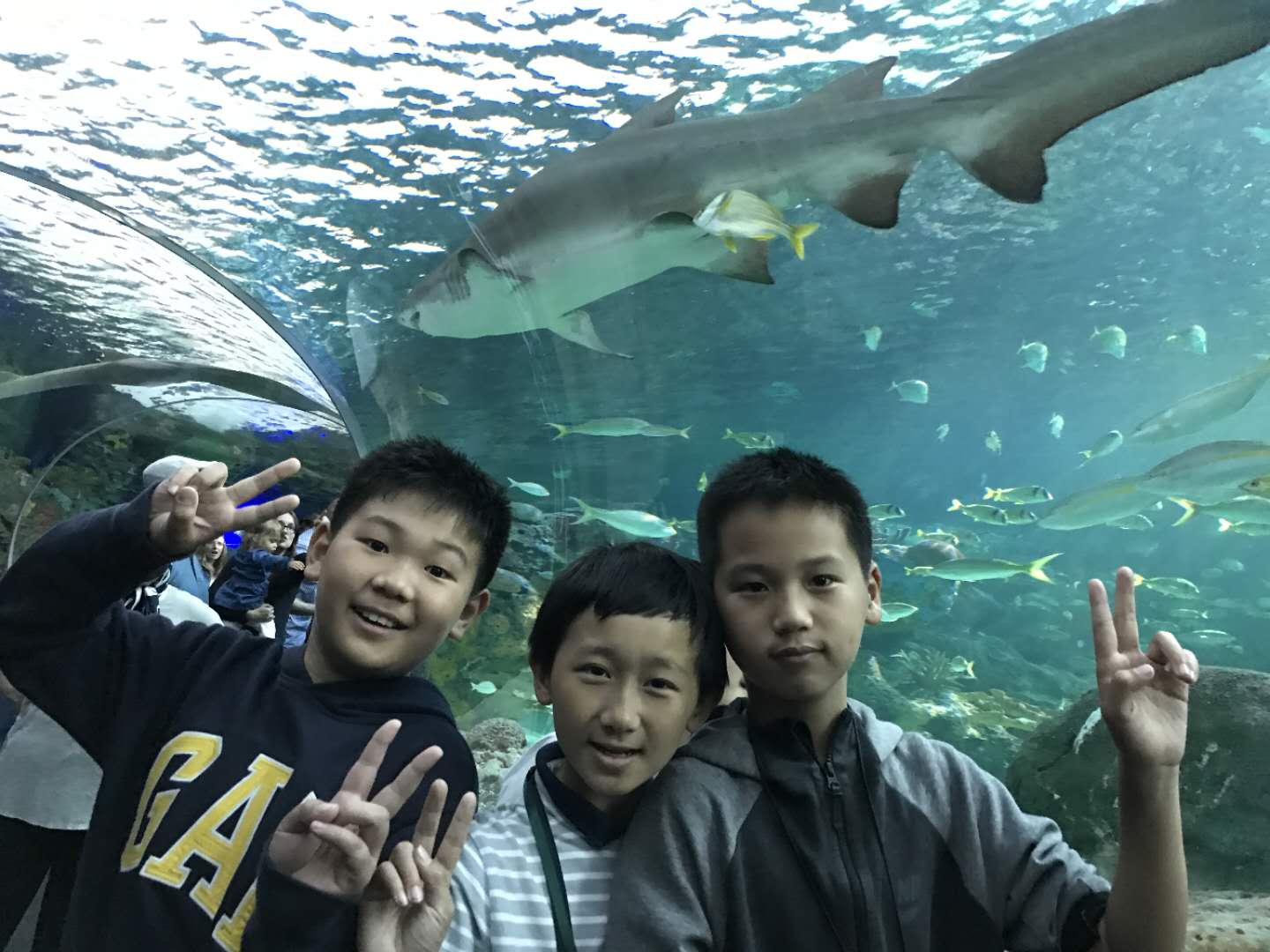 加拿大多伦多中小学沉浸式插班+自然、人文、