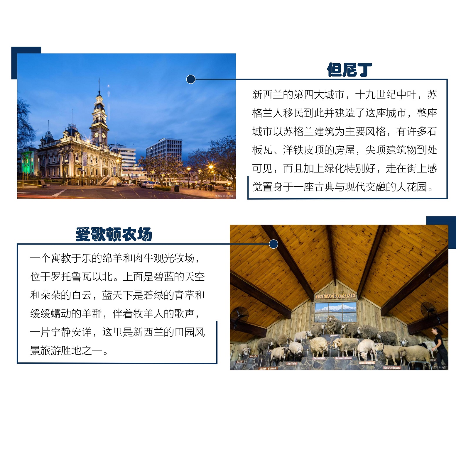 新西兰特卡波湖+皇后镇9日跟团游(4钻)·【携