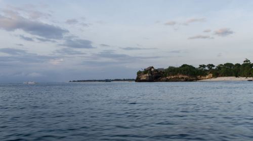 限额低价 巴厘岛文化体验+保护海龟14天志愿者