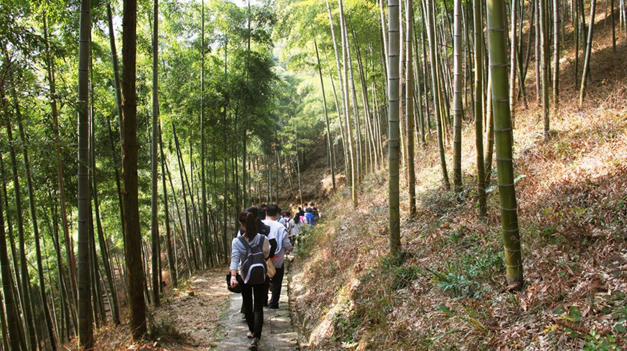 徒步登山·古道探秘の古道人文莫干山 单天小穿越