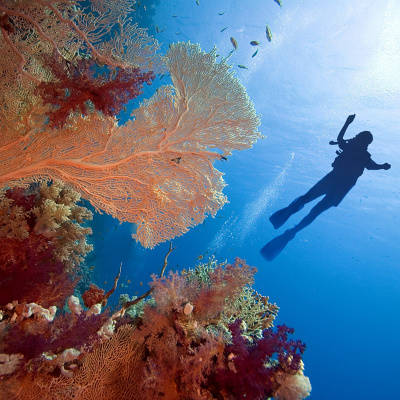 埃及+土耳其+阿联酋20日跟团游·三国连游【