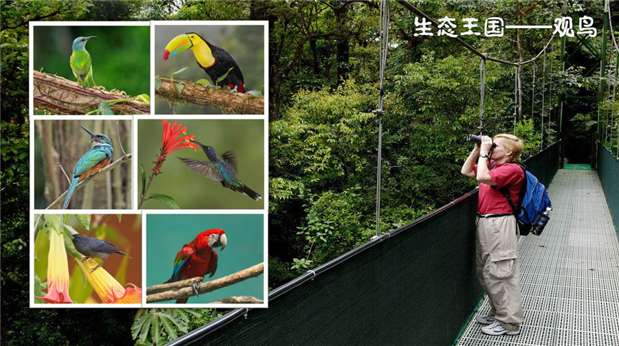 巴拿马国多少人口_巴拿马运河(3)