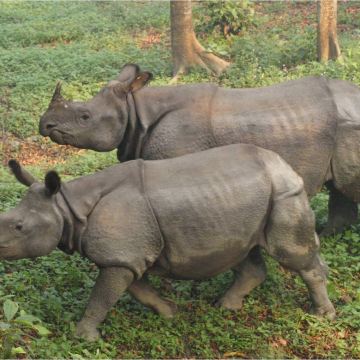 尼泊尔加德满都+博卡拉+奇旺8日7晚私家团 尼泊尔加德满都+博卡拉+奇旺8日7晚私家团