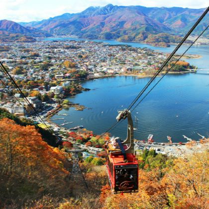 日本东京+富士山6日5晚私家团