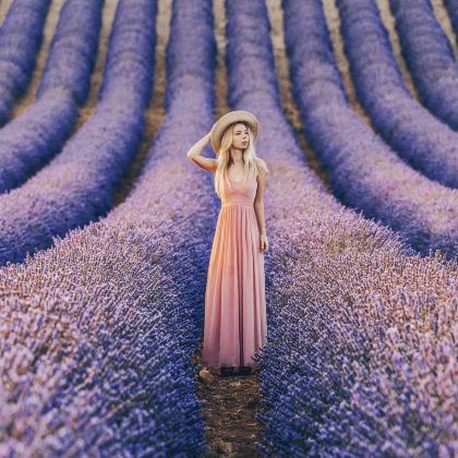 法国12日跟团游 法国12日跟团游