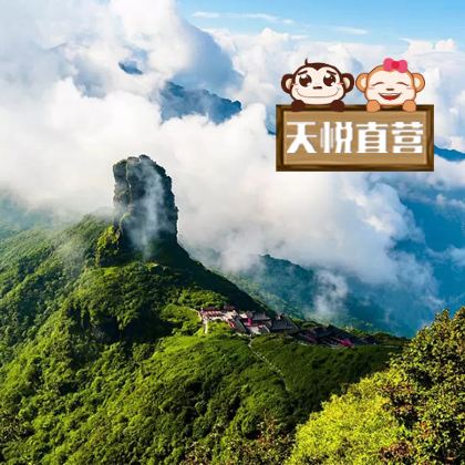 贵州贵阳+黄果树+荔波+镇远+西江千户苗寨+梵净山6日5晚拼小团