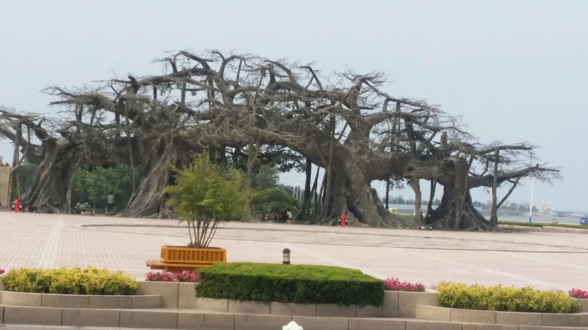 蓬莱旅游怎么样,蓬莱旅游好玩吗【携程旅游】