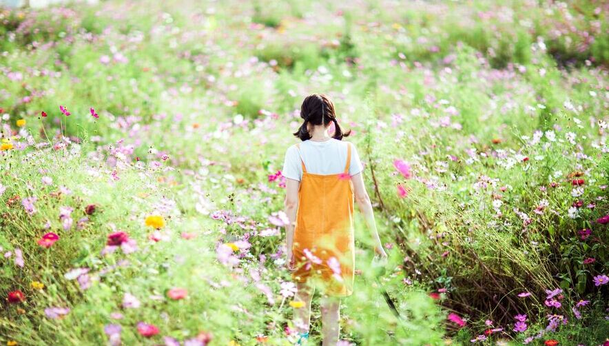 美美哒照片 ,赏花游·云南昆明+大理+丽