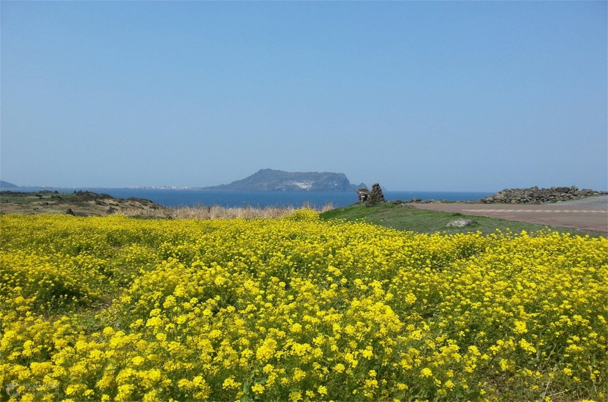 韩国济州岛6日5晚跟团游·厦门直飞1日自由行