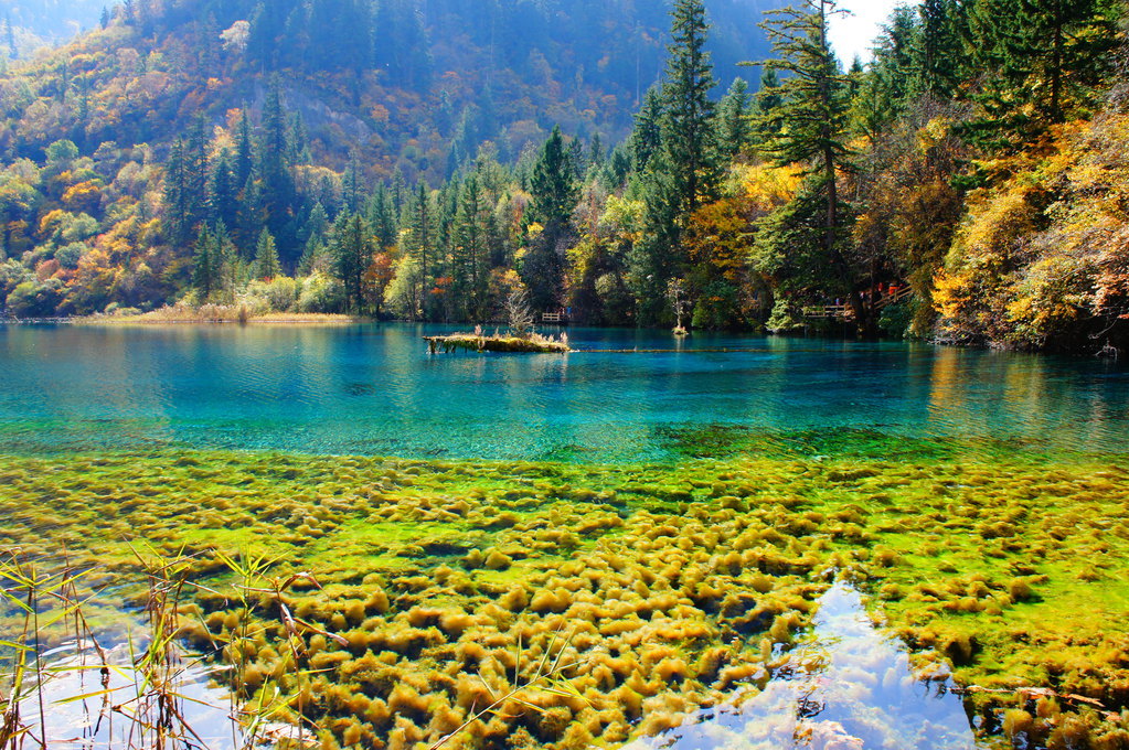 摄影之旅九寨沟+黄龙风景名胜区+乐山+峨眉山5日3晚
