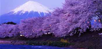 日本东京+大阪6日跟团游·【一价全含】上海