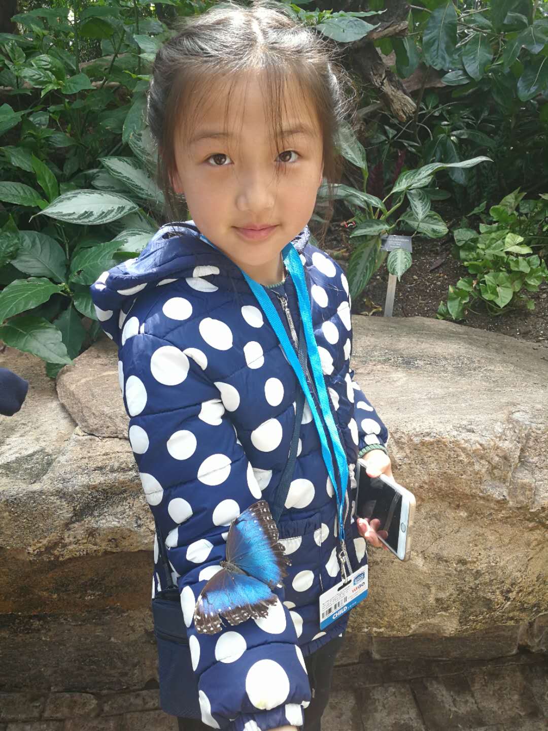 加拿大多伦多中小学沉浸式插班+自然、人文、