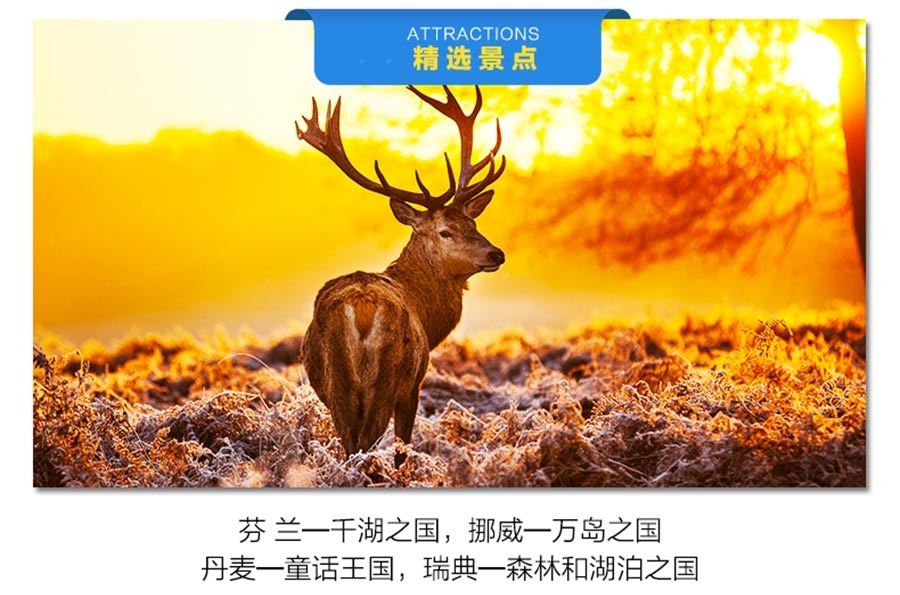 俄罗斯+丹麦+挪威+芬兰13日跟团游·【俄罗斯