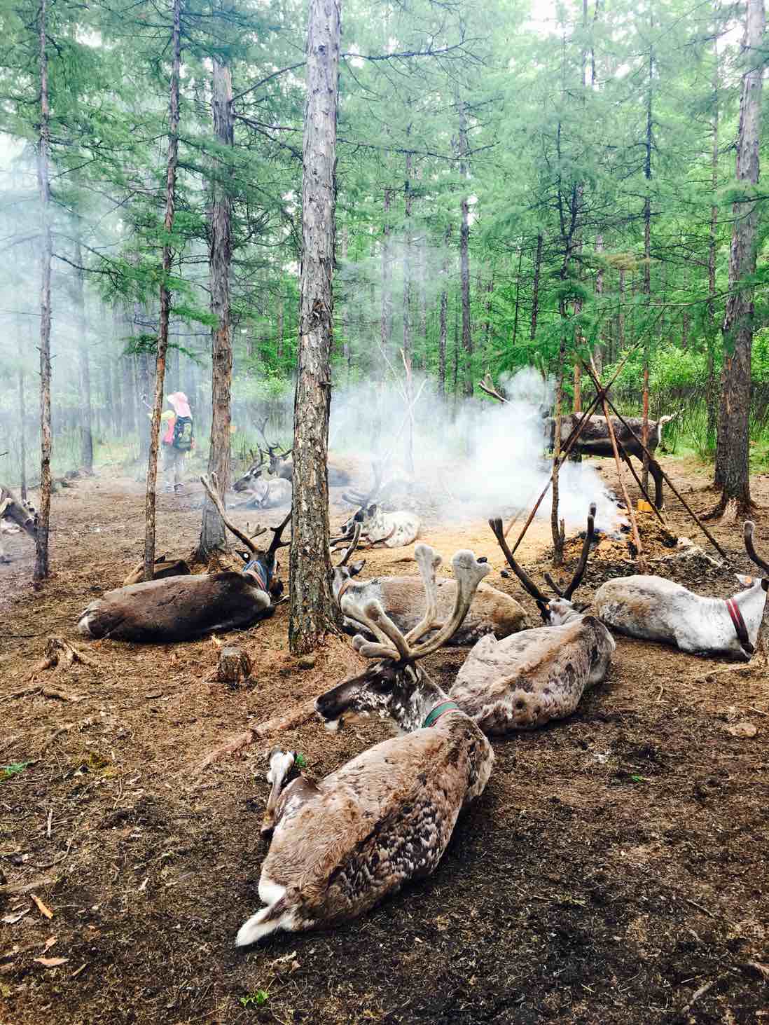 海拉尔旅游怎么样,海拉尔旅游好玩吗【携程旅游】
