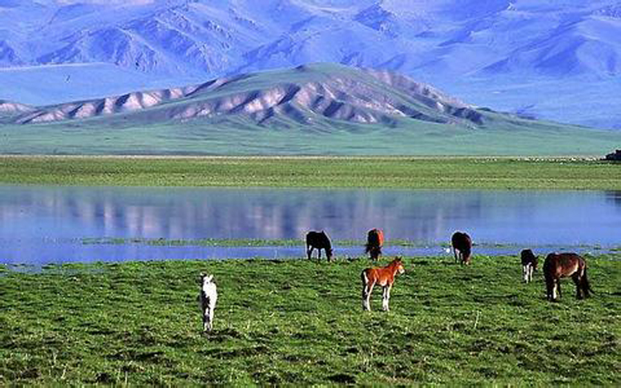 云南丽江+大理+香格里拉7日6晚跟团游·纯玩