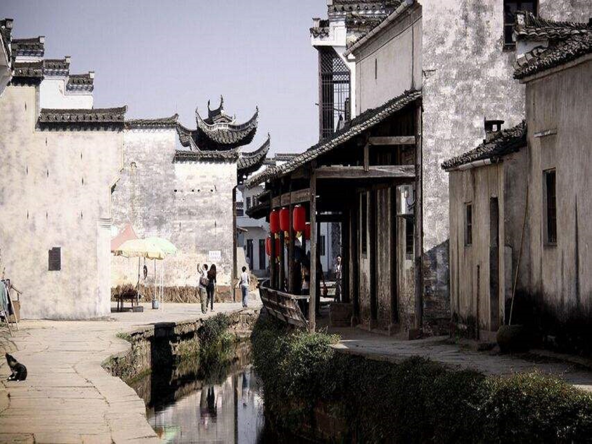 顾册村人口_顾村公园樱花图片(3)