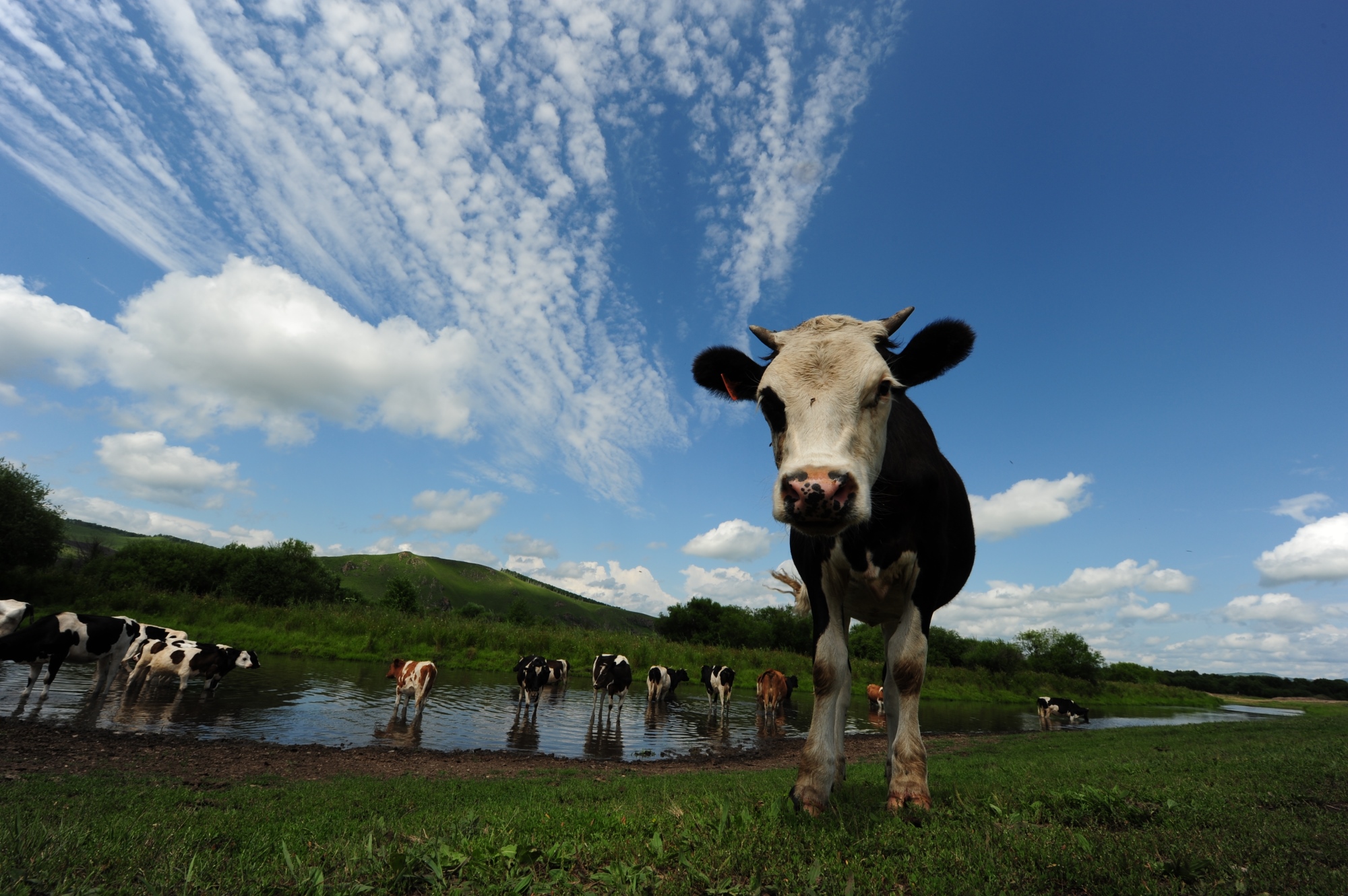 成长体验·【高端户外亲子游】呼伦贝尔至漠河北极村7天6晚亲子行※阿莫迪罗越野房车保障+LNT户外国际教练带队+草原露营+森林露营+烤全羊+BBQ+大兴安岭探险+蒙古包挤牛奶+俄罗斯小院+骑马穿越湿地+越野车队穿越