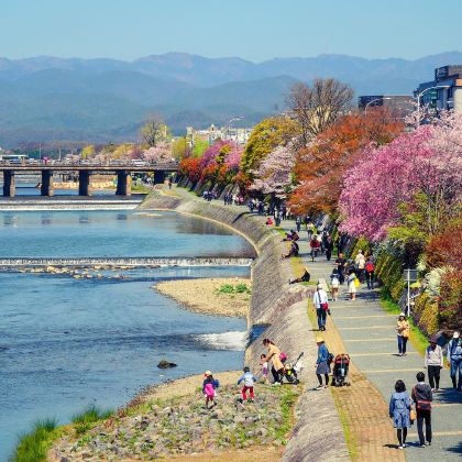 日本大阪+京都7日6晚自由行