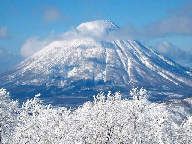 吃住都不错,导游服务,日本京都府+大阪府+东京