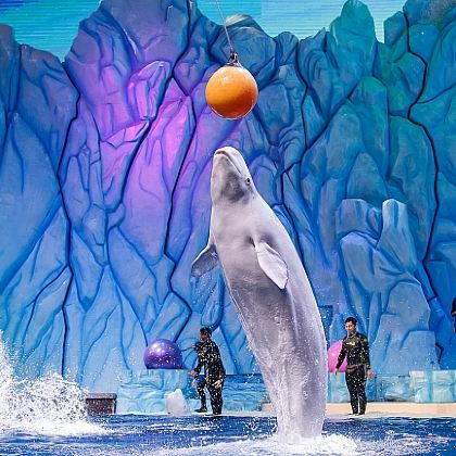 珠海+澳门+香港5日4晚私家团 珠海+澳门+香港5日4晚私家团