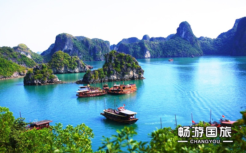 【携程攻略】上海到越南旅游报价,上海到越南