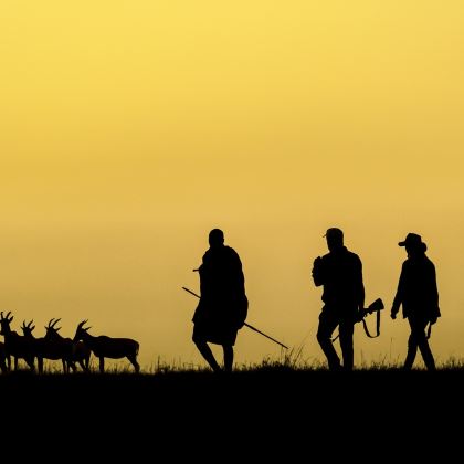 肯尼亚6日5晚私家团 肯尼亚6日5晚私家团