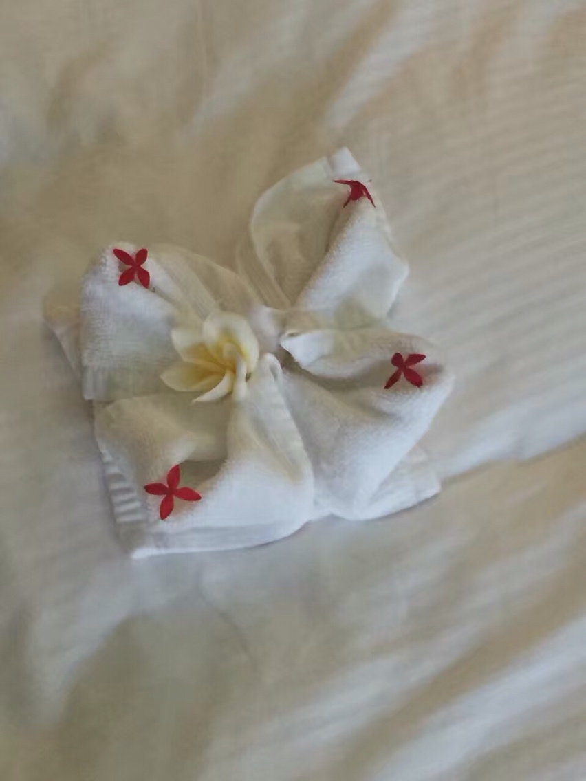 毛里求斯旅游怎么样,毛里求斯旅游好玩吗