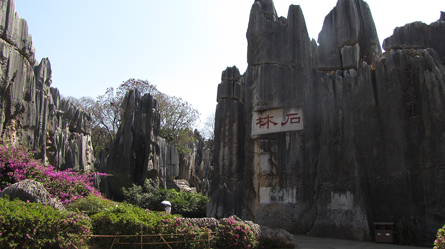 性价比很高,当地导游,大理+丽江+玉龙雪山6日