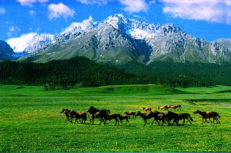 乌鲁木齐南山人口_乌鲁木齐南山照片