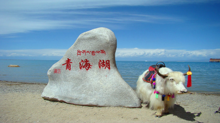 青海湖3日1晚跟团游·(塔尔寺 青海湖 茶卡盐湖)含wifi赠好礼 点评