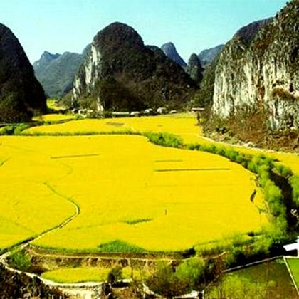 峨眉山+乐山大佛2日1晚跟团游 峨眉山+乐山大佛2日1晚跟团游