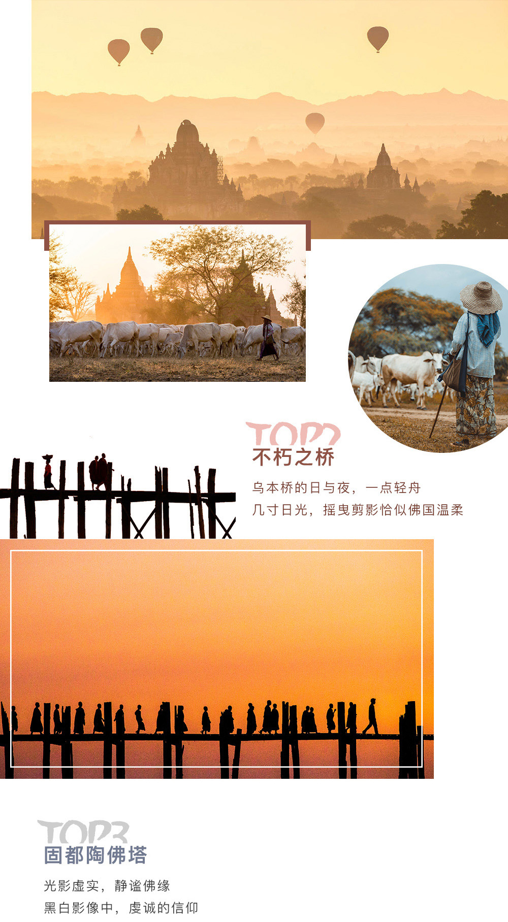 缅甸人口性别比例_上海慈善网 上海市慈善基金会主办(3)