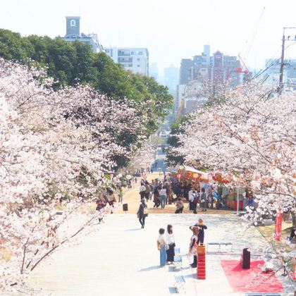 日本福冈4日自由行