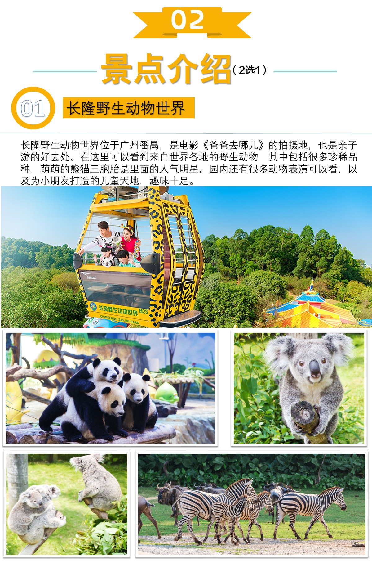 广东广州长隆+珠海长隆+香港6日5晚半自助游酷跑地铁攻略图片