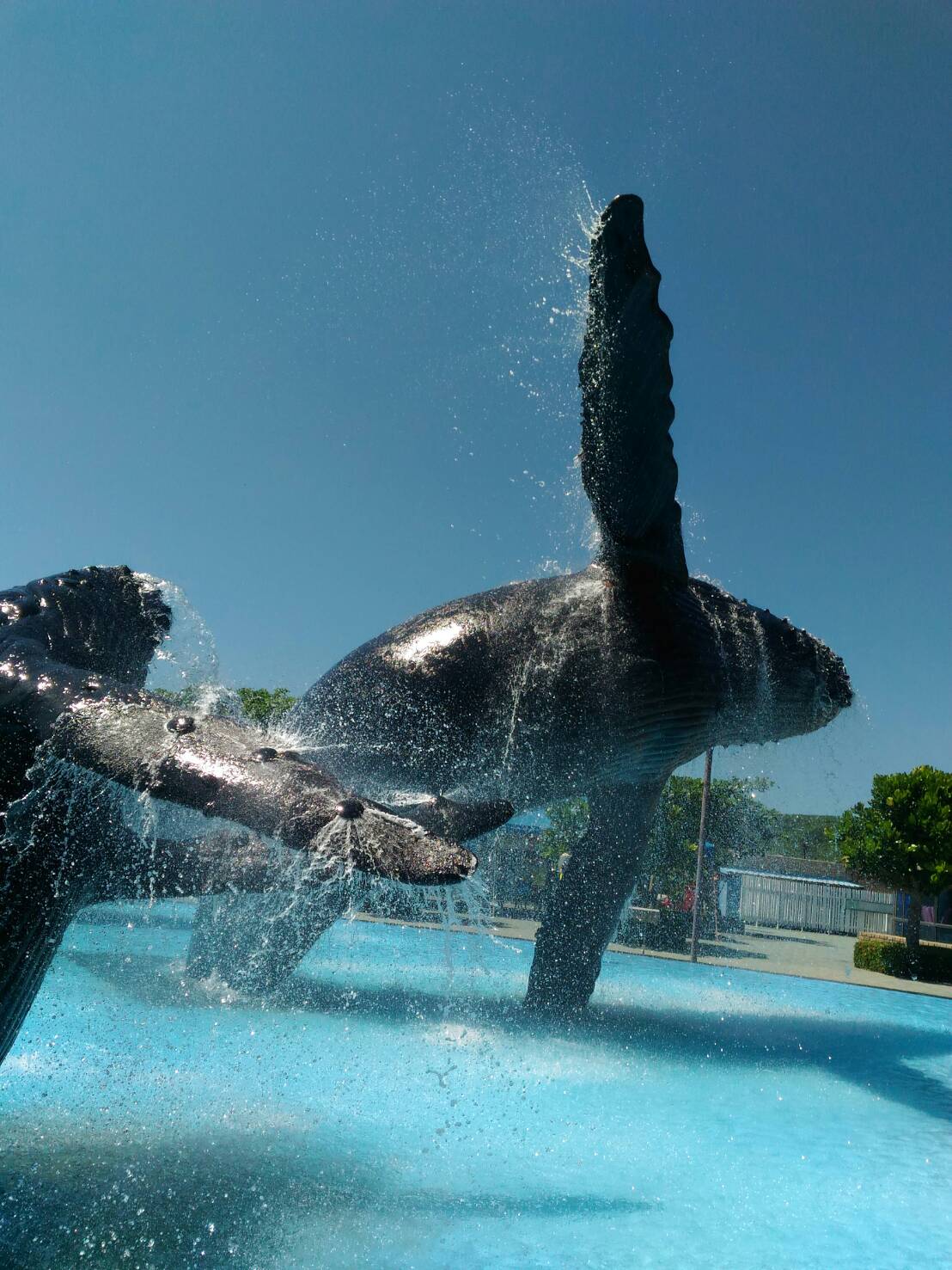 台湾东部6日5晚跟团游(4钻)·畅游海洋公园&