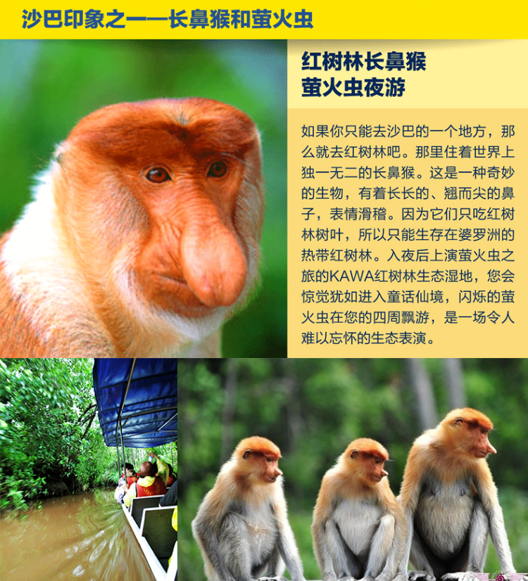 马来西亚GDP总产值_马来西亚地图(3)
