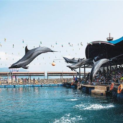 海南三亚+陵水+万宁+琼海+文昌+海口8日7晚自由行 海南三亚+陵水+万宁+琼海+文昌+海口8日7晚自由行