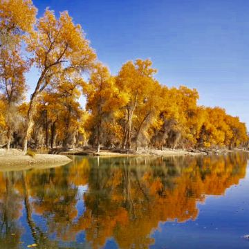 新疆南疆+喀什市11日10晚私家团 新疆南疆+喀什市11日10晚私家团